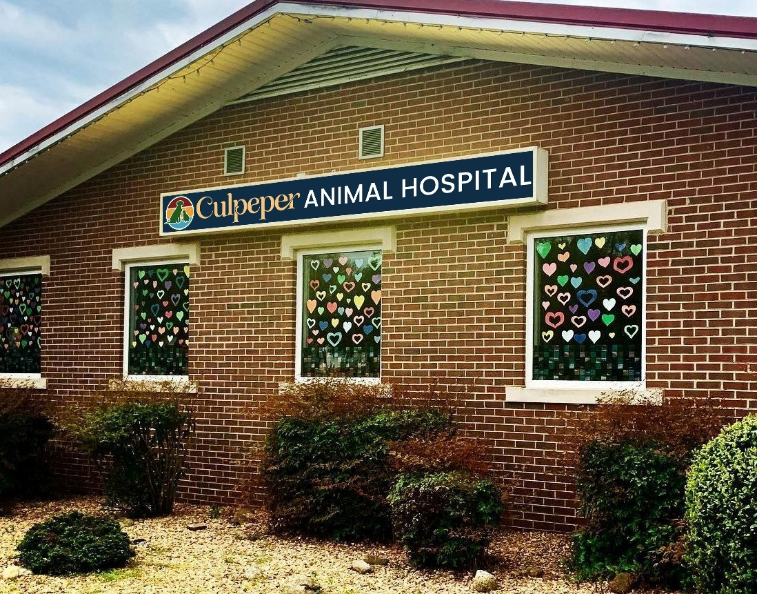 Culpeper Animal Hospital: proposed sign rendering