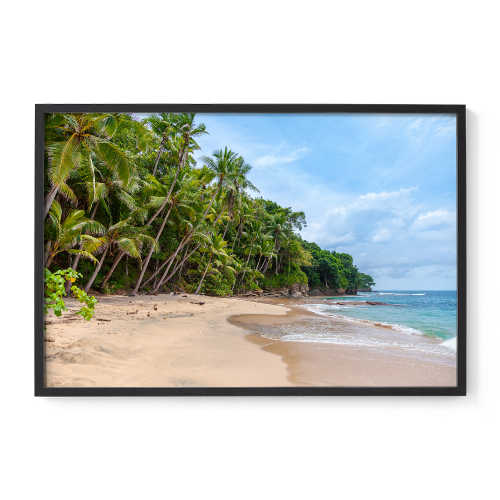 Live Product Options Frame Size & Color